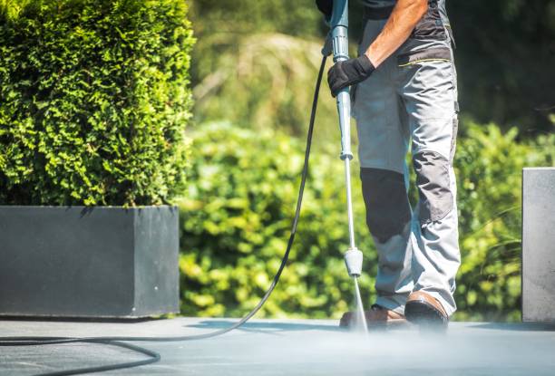 Best Gutter Cleaning  in Dripping Springs, TX